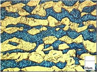 Fig. 1 Micrography of a DSS (austenite: white/ ferrite: blue)  